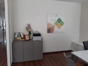 residential interior design